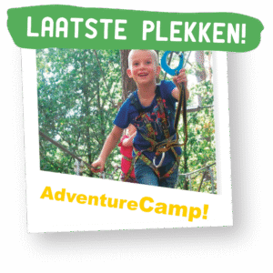 AdvCamp_PLEK