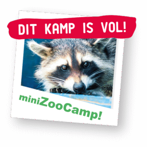 ZooCamp-VOL