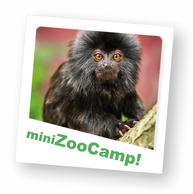 ZooCamp ZooCamp
